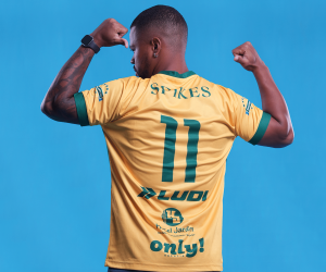 branding-estrategico-xv-de-jau-china